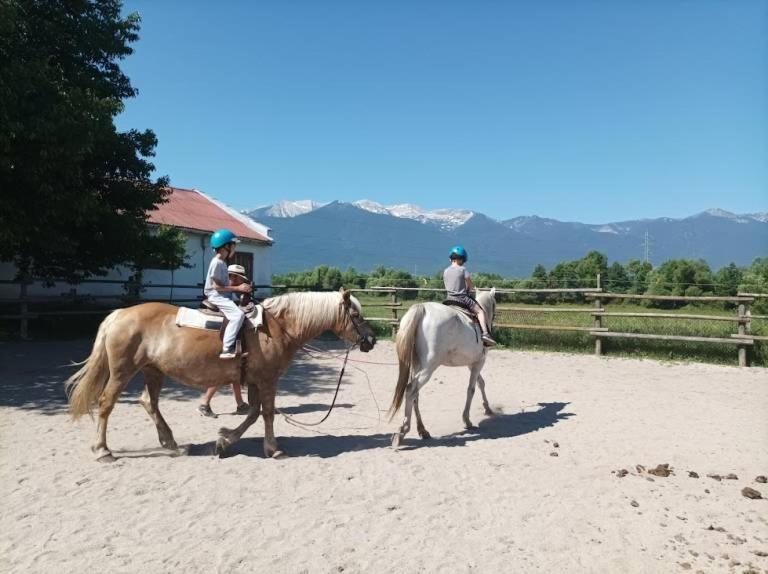 Pirina Club Hotel Bansko Buitenkant foto