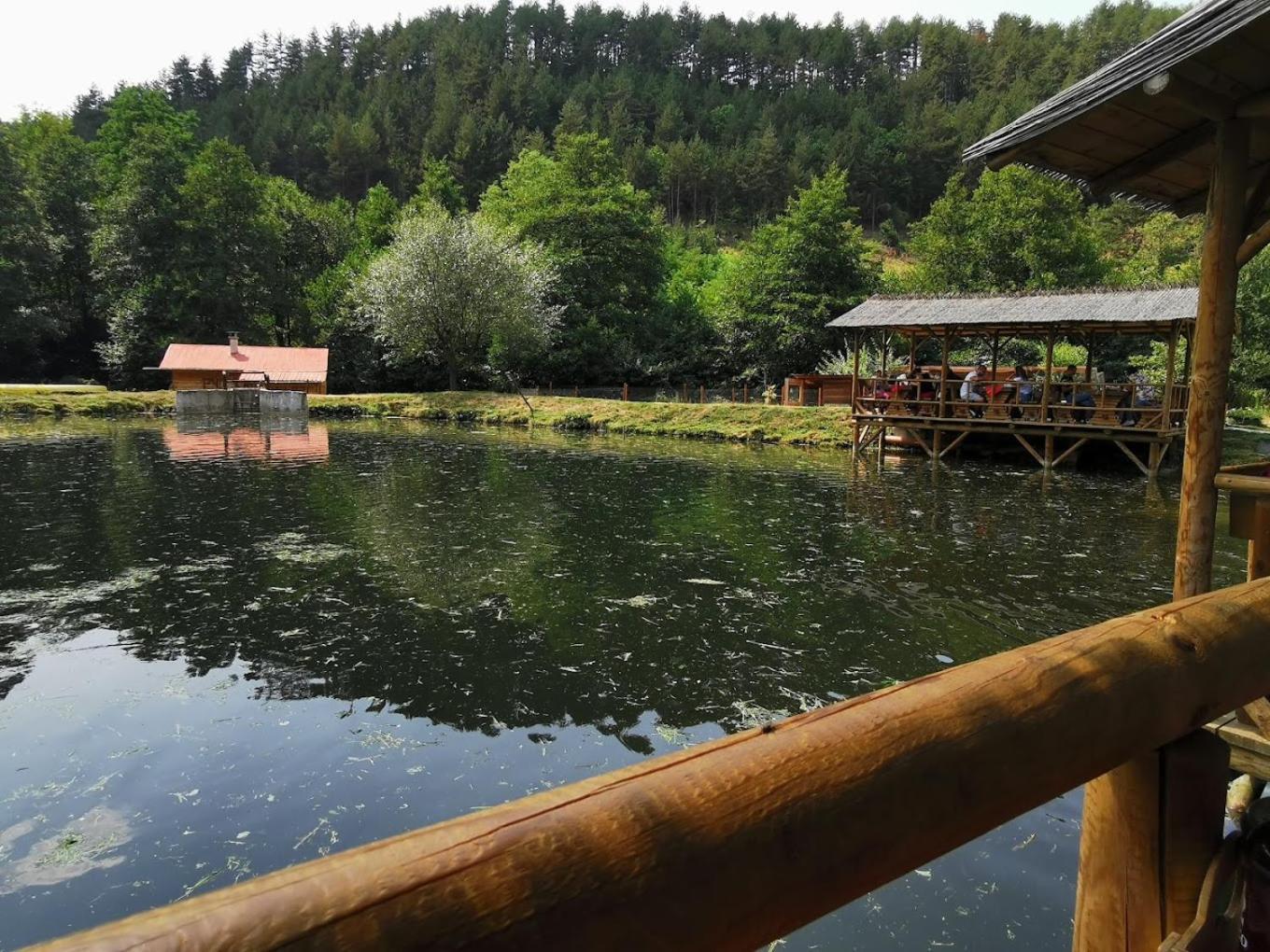 Pirina Club Hotel Bansko Buitenkant foto
