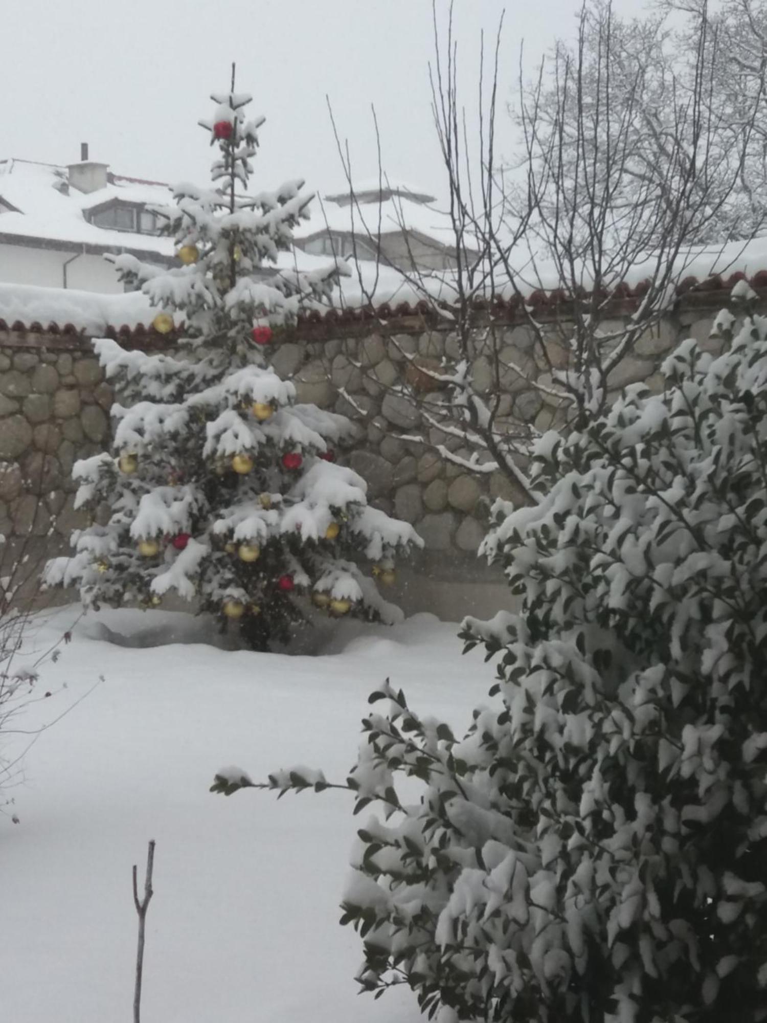 Pirina Club Hotel Bansko Buitenkant foto